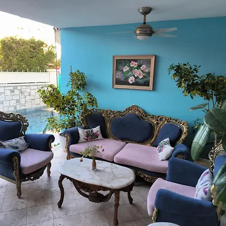 迪格曼尼豪宅住宿加早餐旅馆