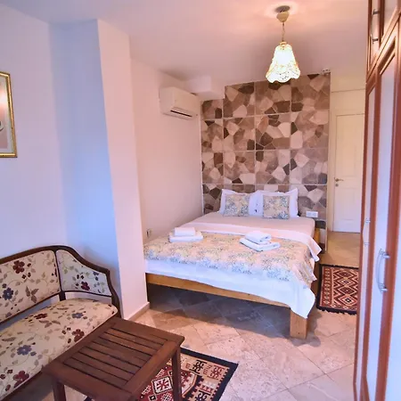 迪格曼尼豪宅住宿加早餐旅馆 3*