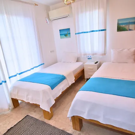 迪格曼尼豪宅住宿加早餐旅馆 阿拉恰特