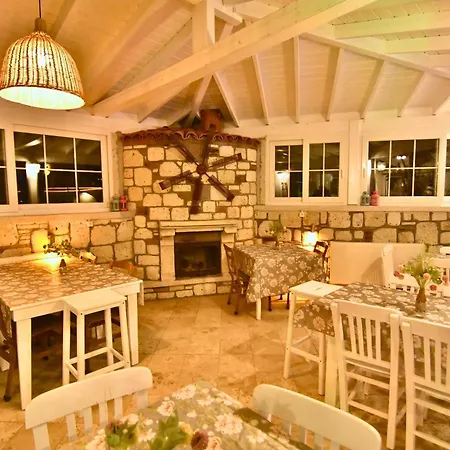 迪格曼尼豪宅住宿加早餐旅馆