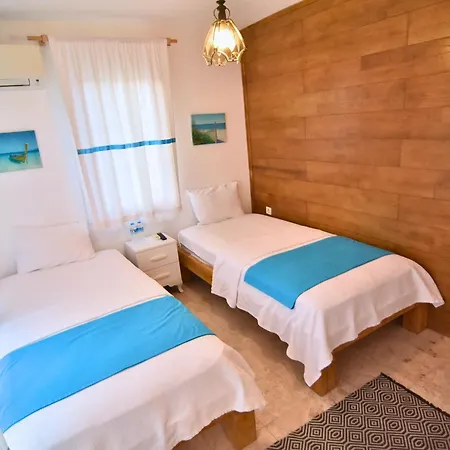 迪格曼尼豪宅住宿加早餐旅馆 3*