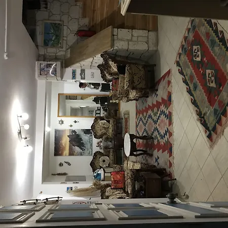 迪格曼尼豪宅住宿加早餐旅馆 阿拉恰特