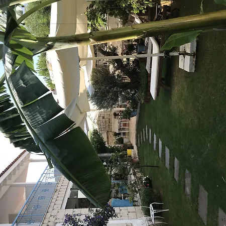 迪格曼尼豪宅住宿加早餐旅馆 阿拉恰特