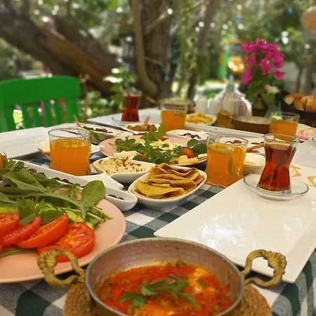 迪格曼尼豪宅住宿加早餐旅馆 住宿加早餐酒店 3*