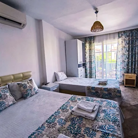 迪格曼尼豪宅住宿加早餐旅馆 阿拉恰特